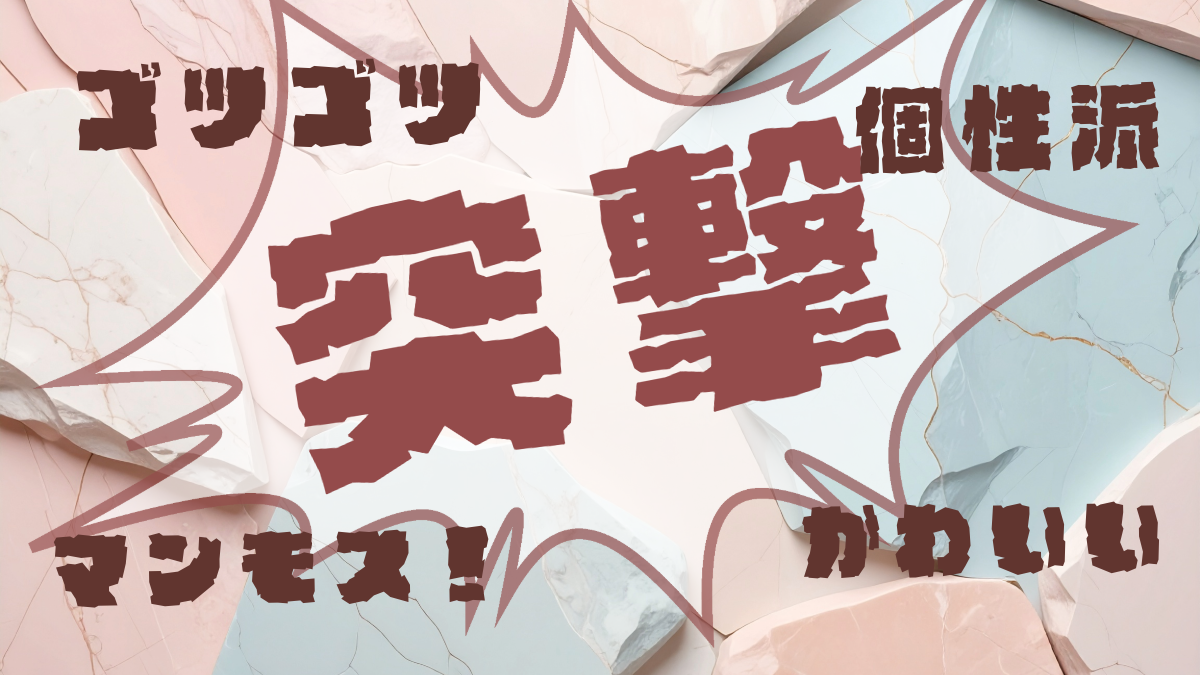 【アンケート特典】OMF-石ちゃん F2 Regular